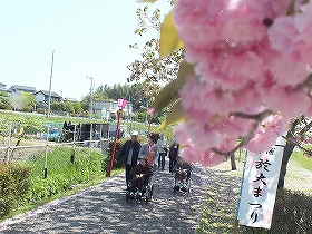 DSCF6356
